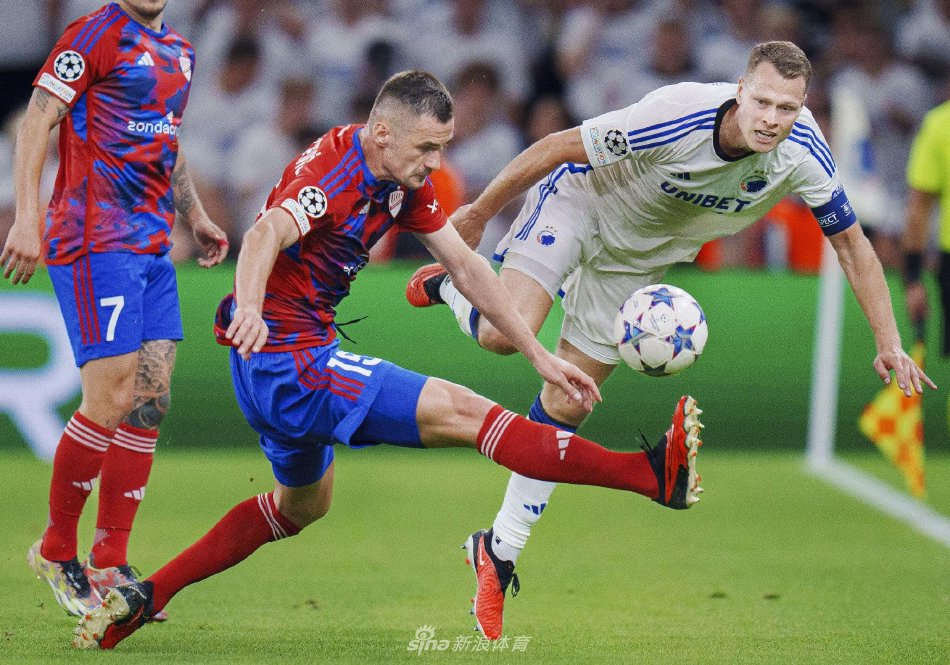 也可能导致 也可能导致